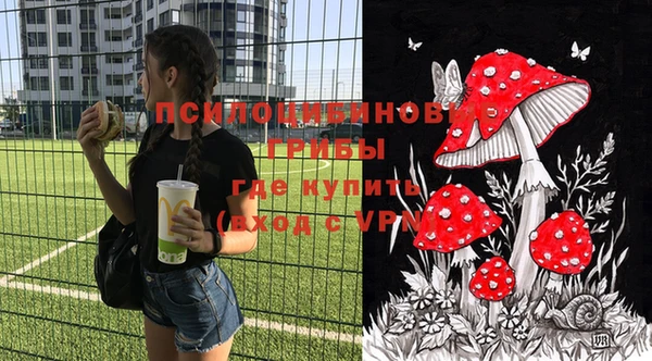 мдпв Зеленокумск